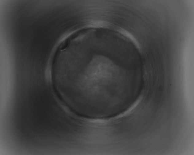 X0000100891114200807081035