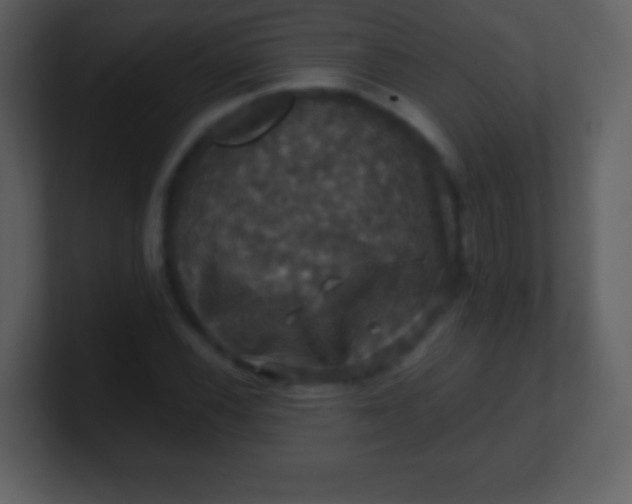 X0000100891116200807081035