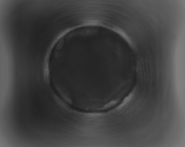 X0000100891118200807081035