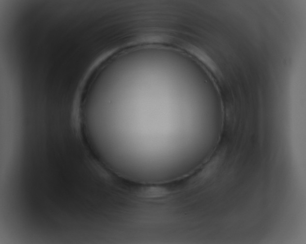 X0000100891119200807081035