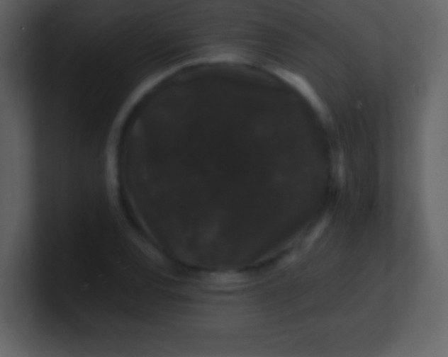 X0000100891120200807081035