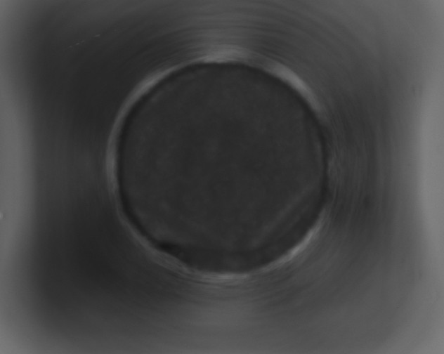 X0000100891122200807081035