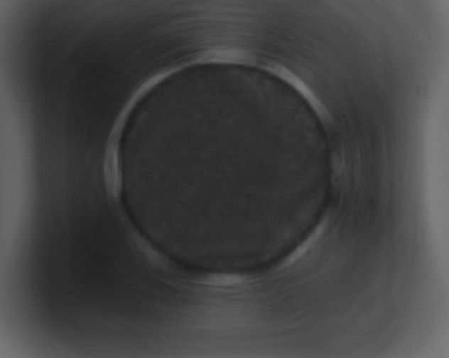 X0000100891123200807081035