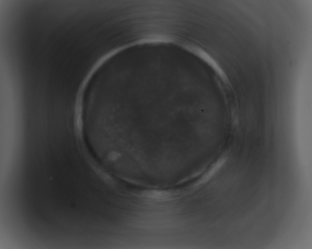 X0000100891124200807081035