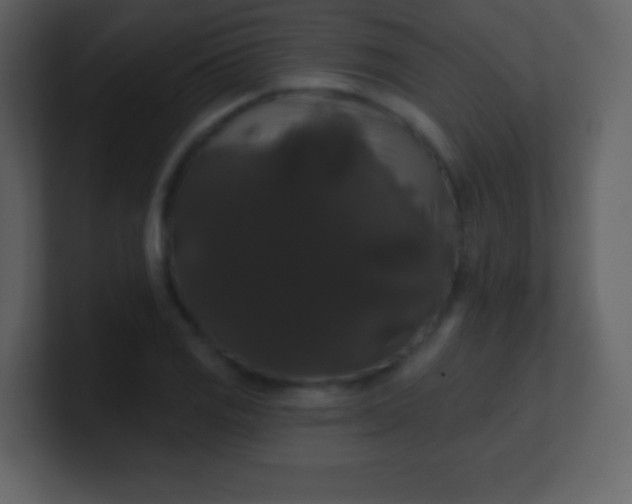 X0000100891125200807081035