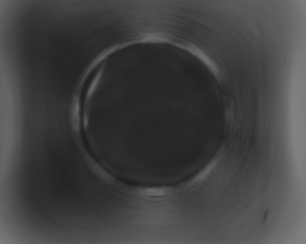 X0000100891126200807081035