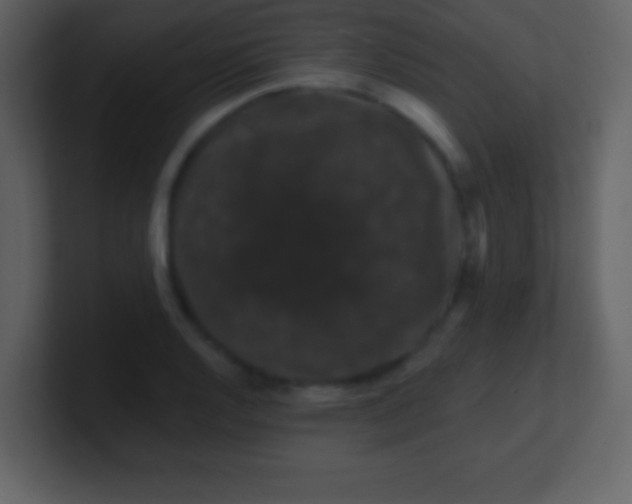 X0000100891128200807081035