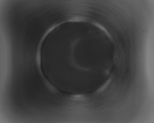 X0000100891130200807081035