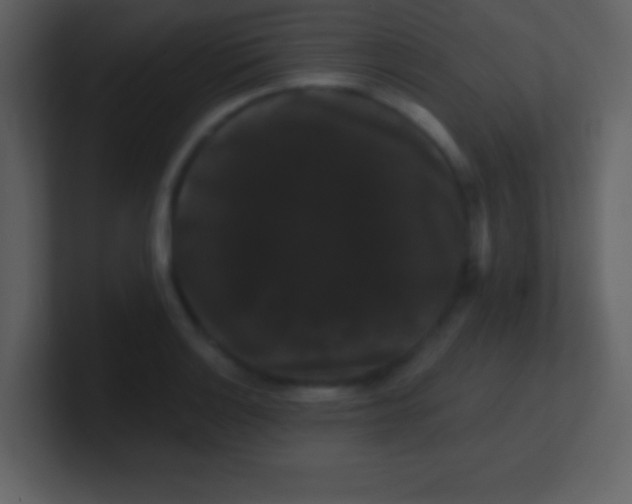 X0000100891132200807081035