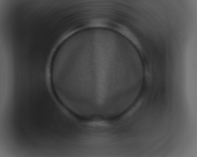 X0000100891133200807081035