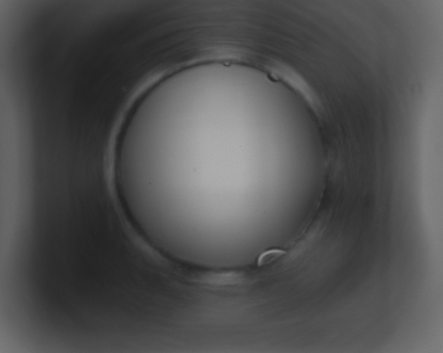 X0000100891135200807081035