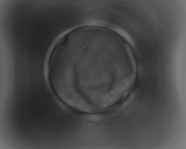 X0000100891136200807081035