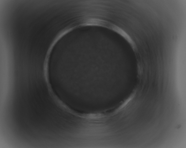 X0000100891138200807081035