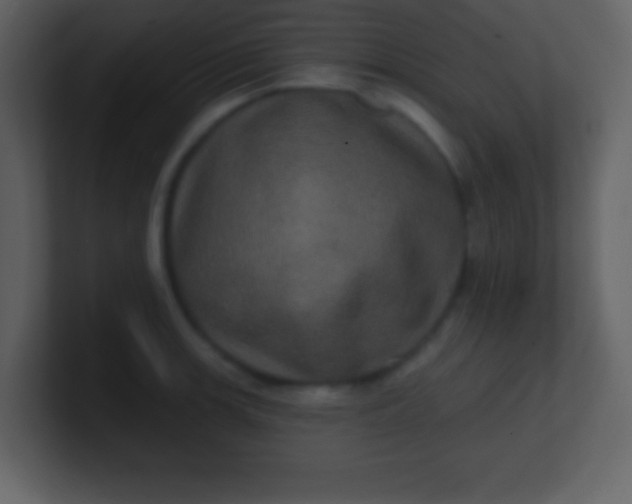 X0000100891139200807081035