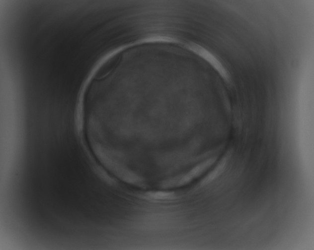 X0000100891140200807081035