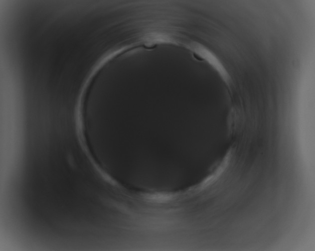 X0000100891141200807081035