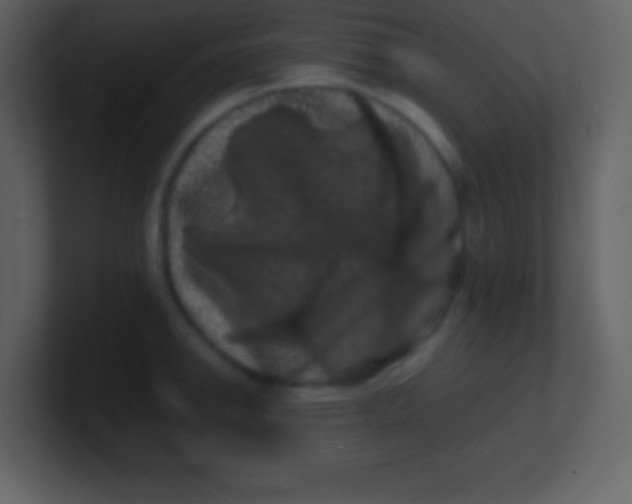 X0000100891142200807081035