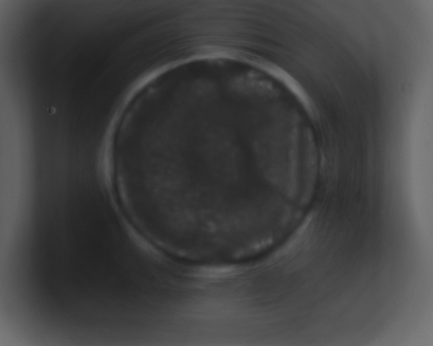 X0000100891143200807081035