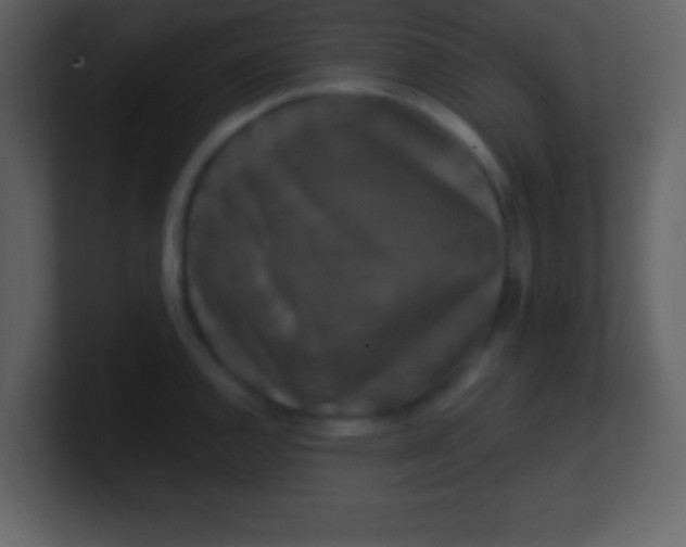 X0000100891144200807081035