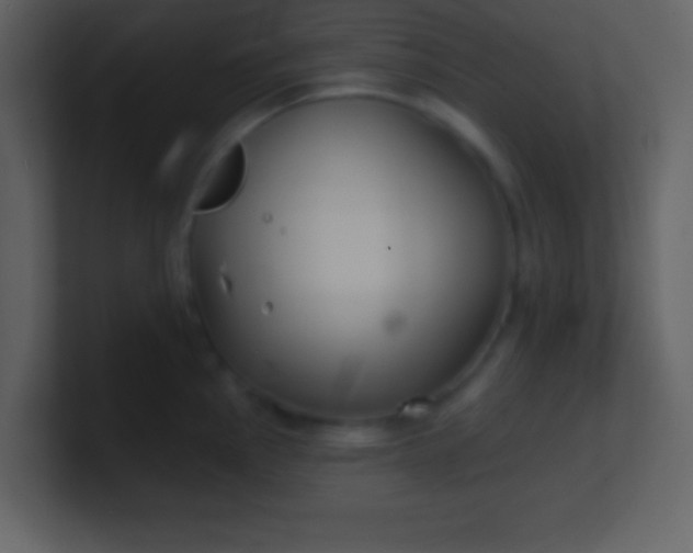 X0000100891145200807081035