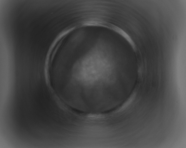 X0000100891146200807081035