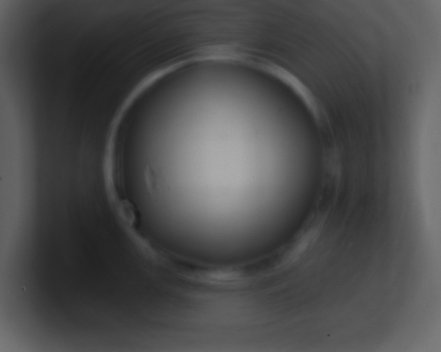 X0000100891147200807081035