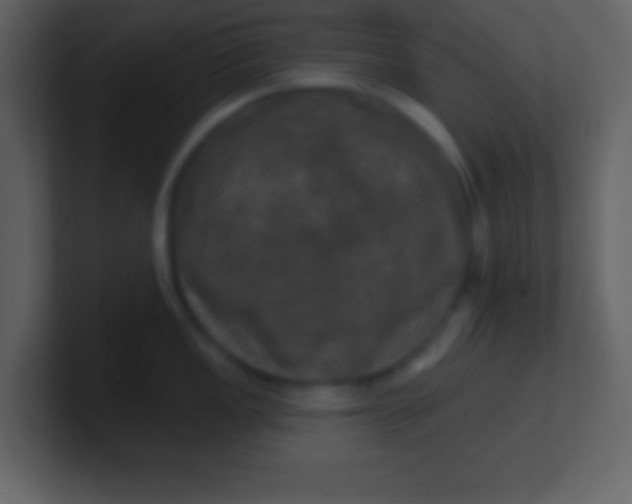 X0000100891149200807081035