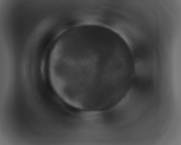 X0000100891150200807081035