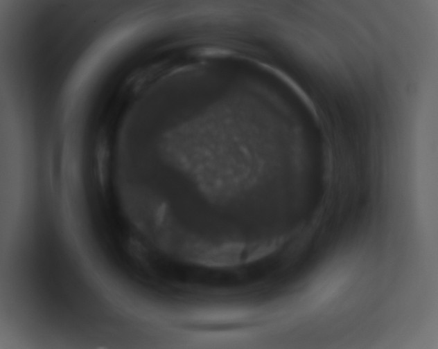 X0000100891151200807081035