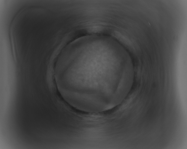 X0000100891153200807081035