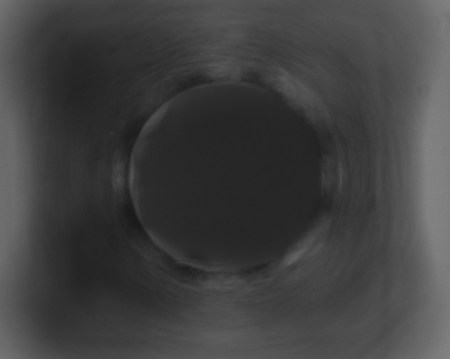 X0000100891154200807081035