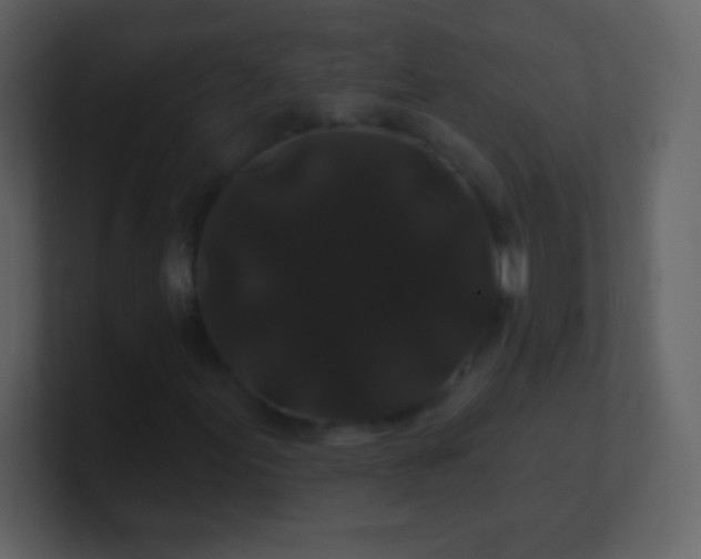 X0000100891155200807081035