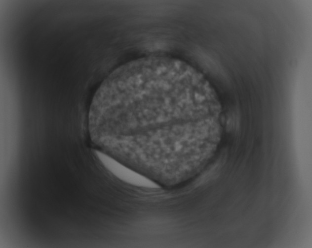 X0000100891156200807081035