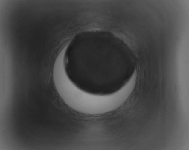 X0000100891157200807081035