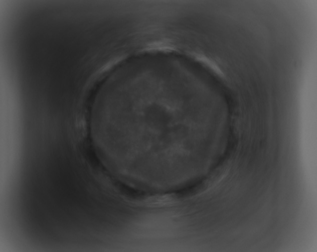 X0000100891159200807081035