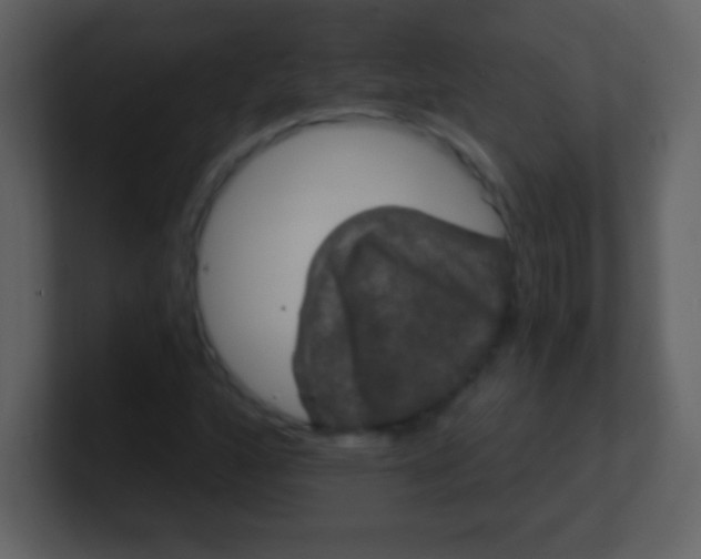 X0000100891160200807081035