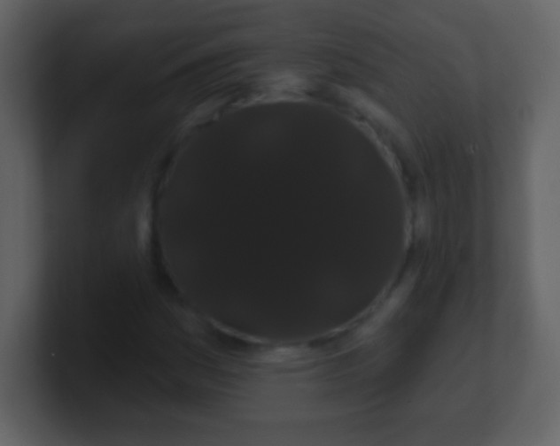 X0000100891161200807081035