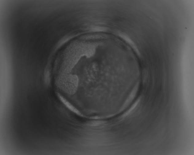 X0000100891163200807081035