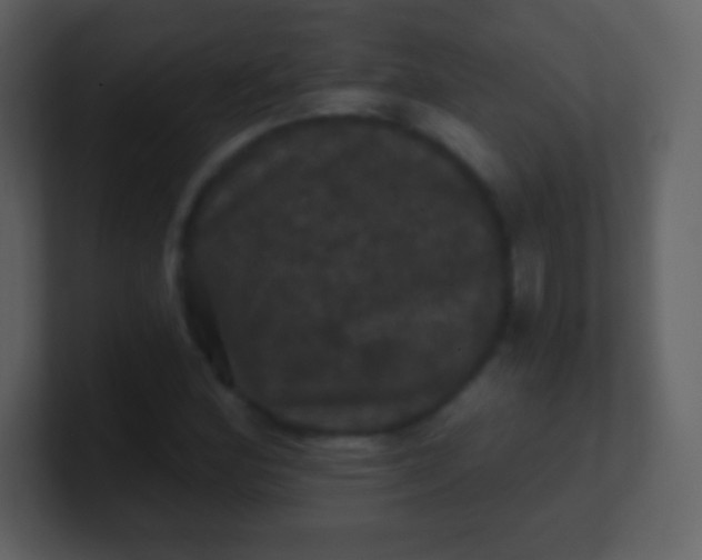 X0000100891164200807081035