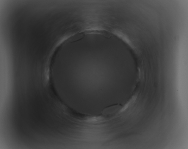 X0000100891165200807081035