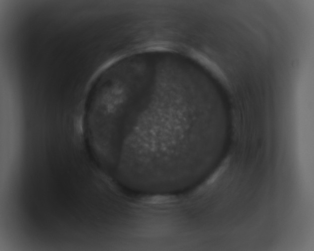 X0000100891166200807081035