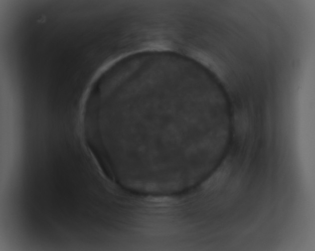 X0000100891168200807081034