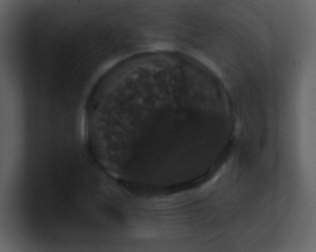 X0000100891171200807081034