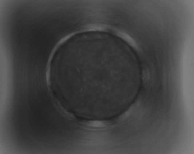 X0000100891172200807081034