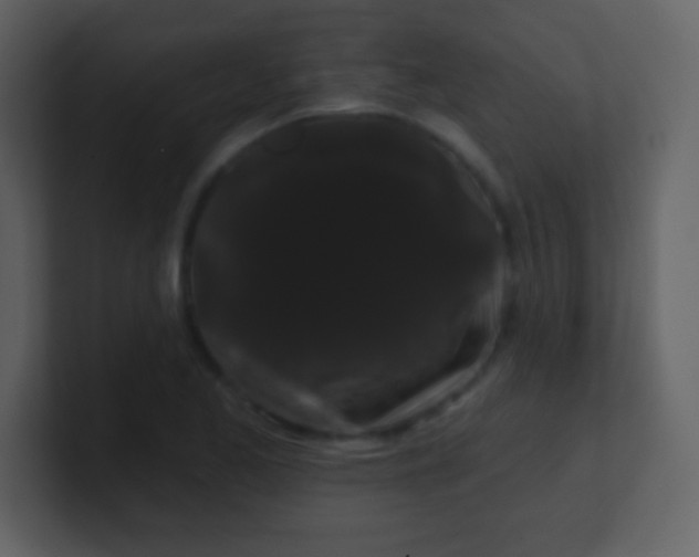 X0000100891173200807081034