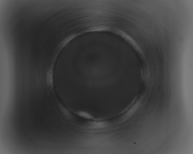 X0000100891177200807081034