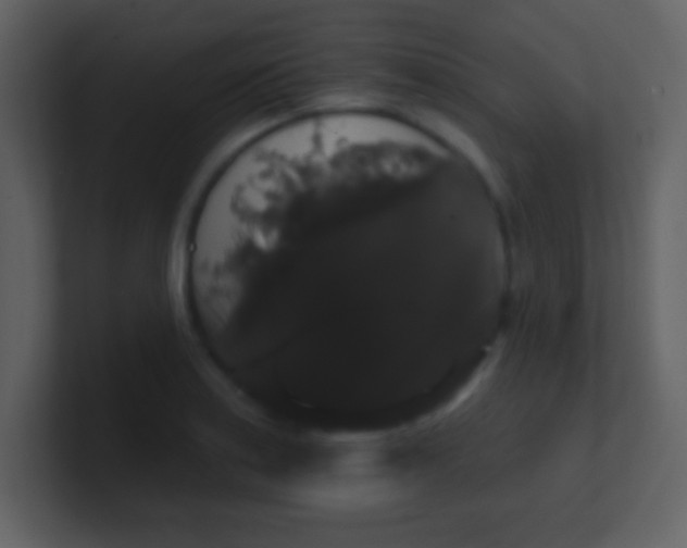 X0000100891179200807081034