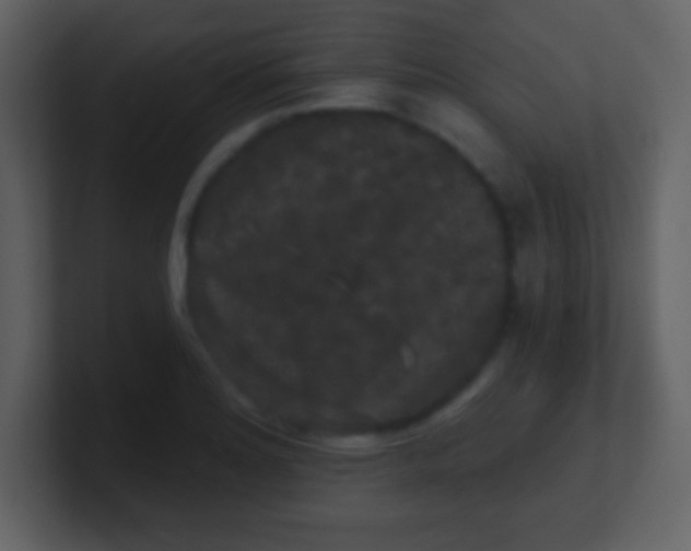 X0000100891180200807081034