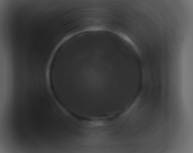 X0000100891181200807081034