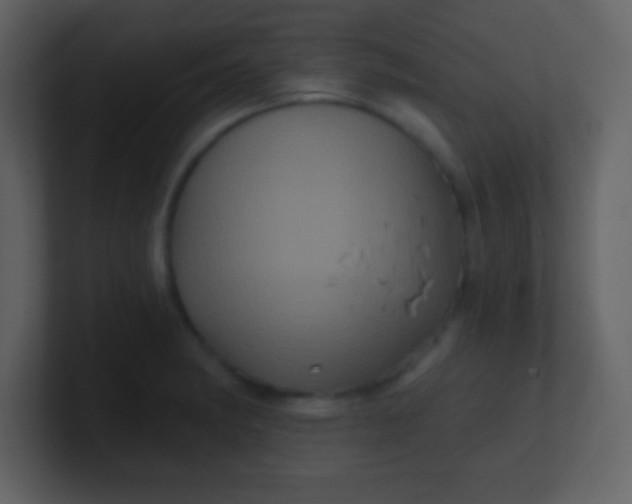 X0000100891182200807081034